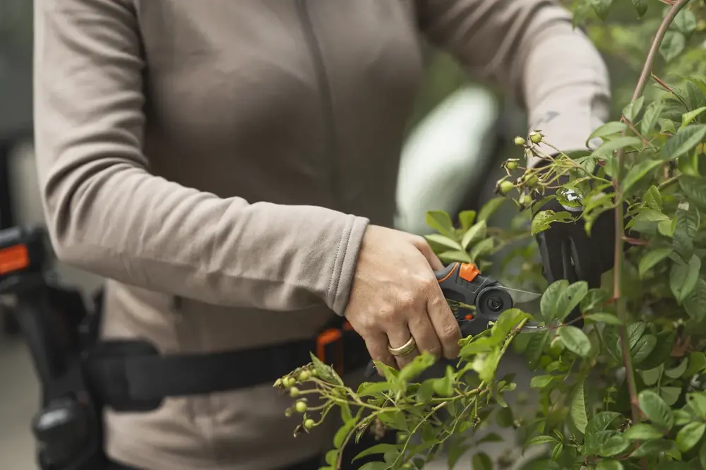 Záhradné nožnice HUSQVARNA Standard