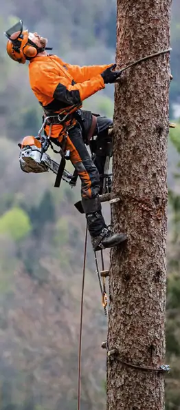 STIHL MS 462 C-M VW Motorová píla