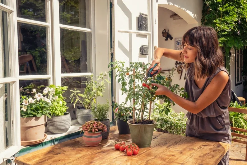 Gardena nožnice FreshCut
